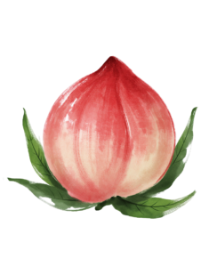 Longevity Peach